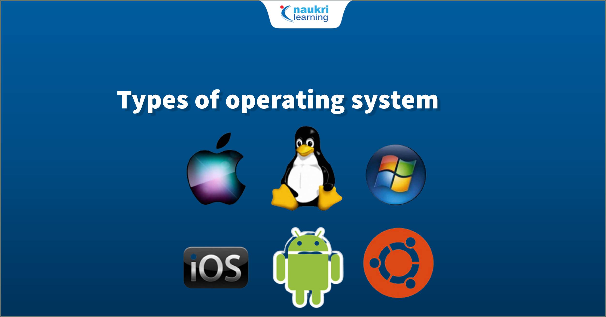 Operating System (OS)