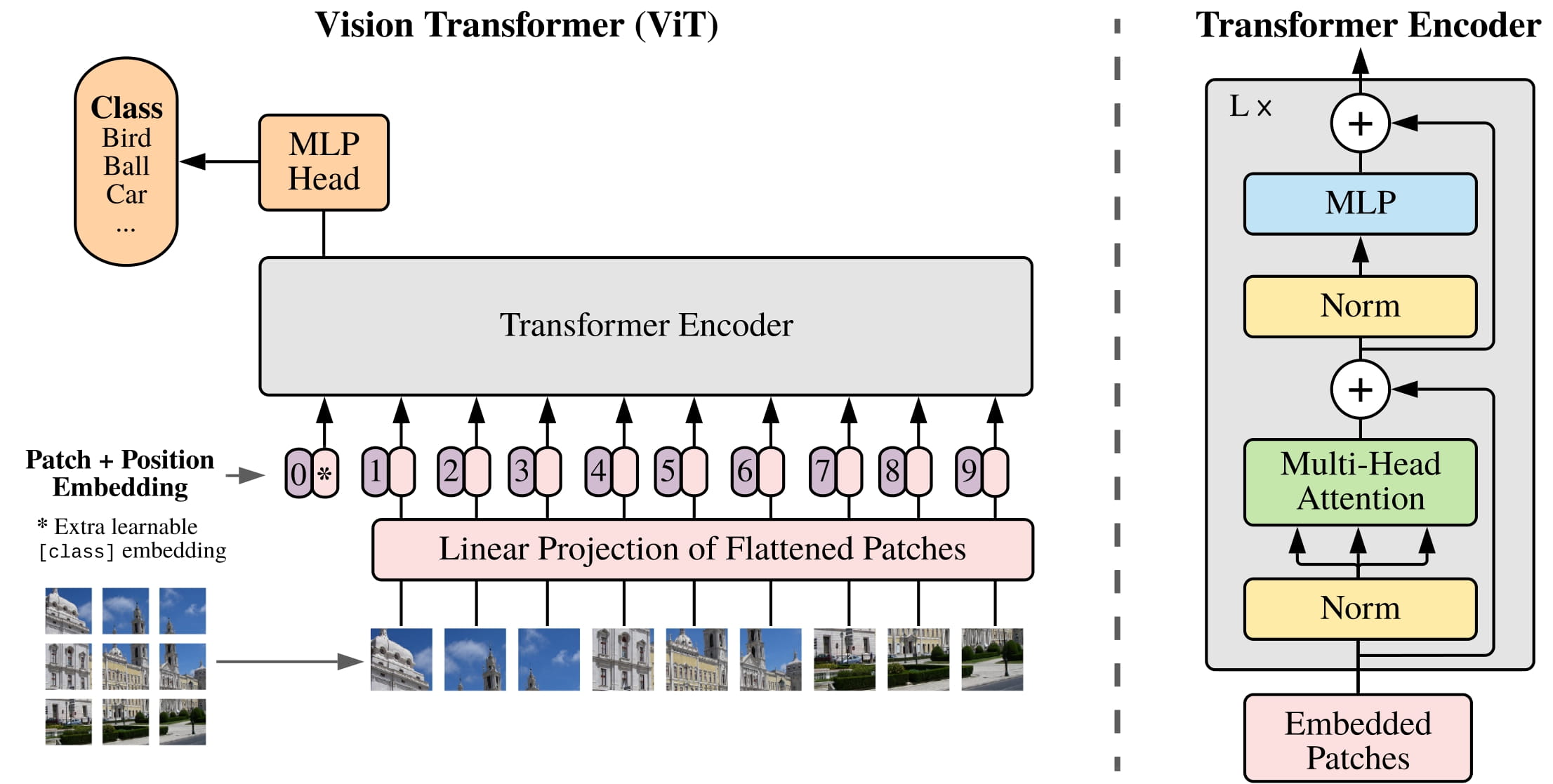 ViT (Transformateur de Vision)