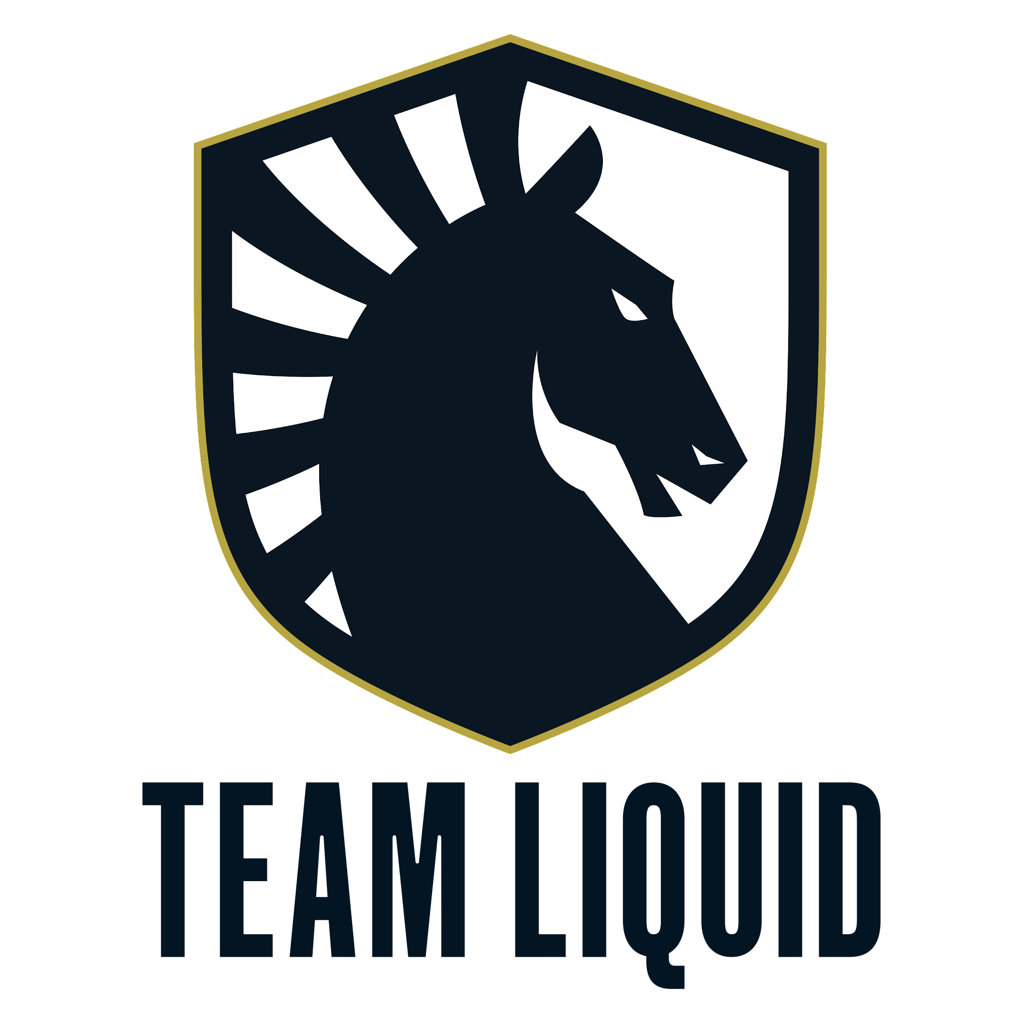 Жидкий логотип