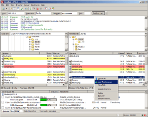 Proxy for filezilla-project.org