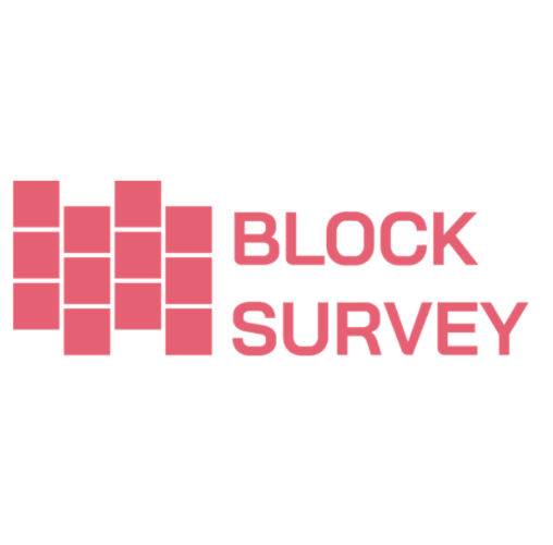 لوگوی BlockSurvey
