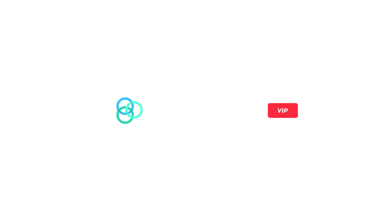 Boro Inc