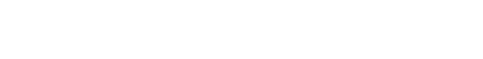 Captain Data Logo