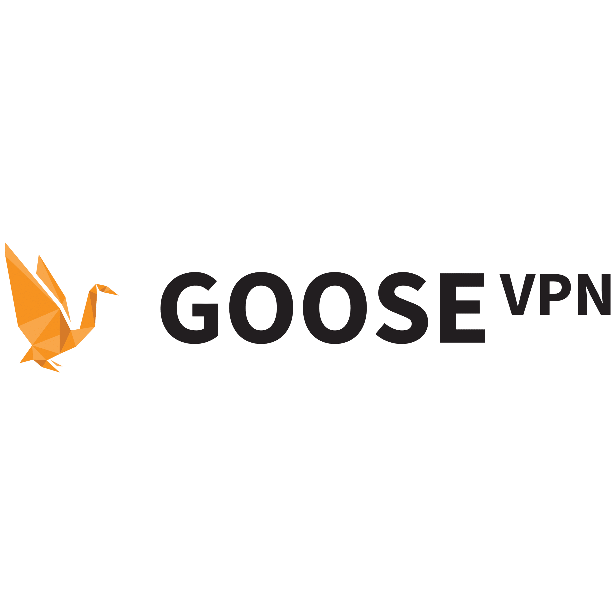 Логотип GooseVPN