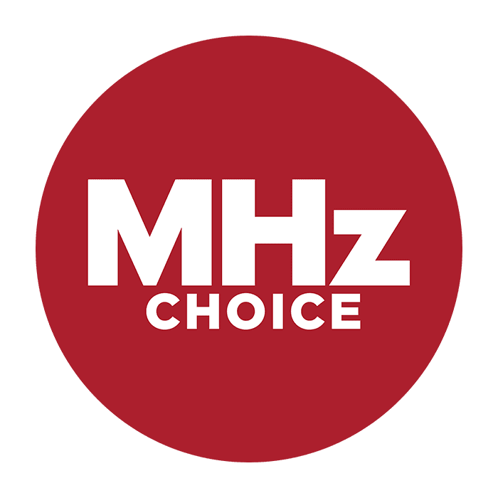 Логотип вибору МГц