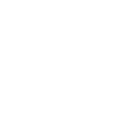 SnapBrands Logo