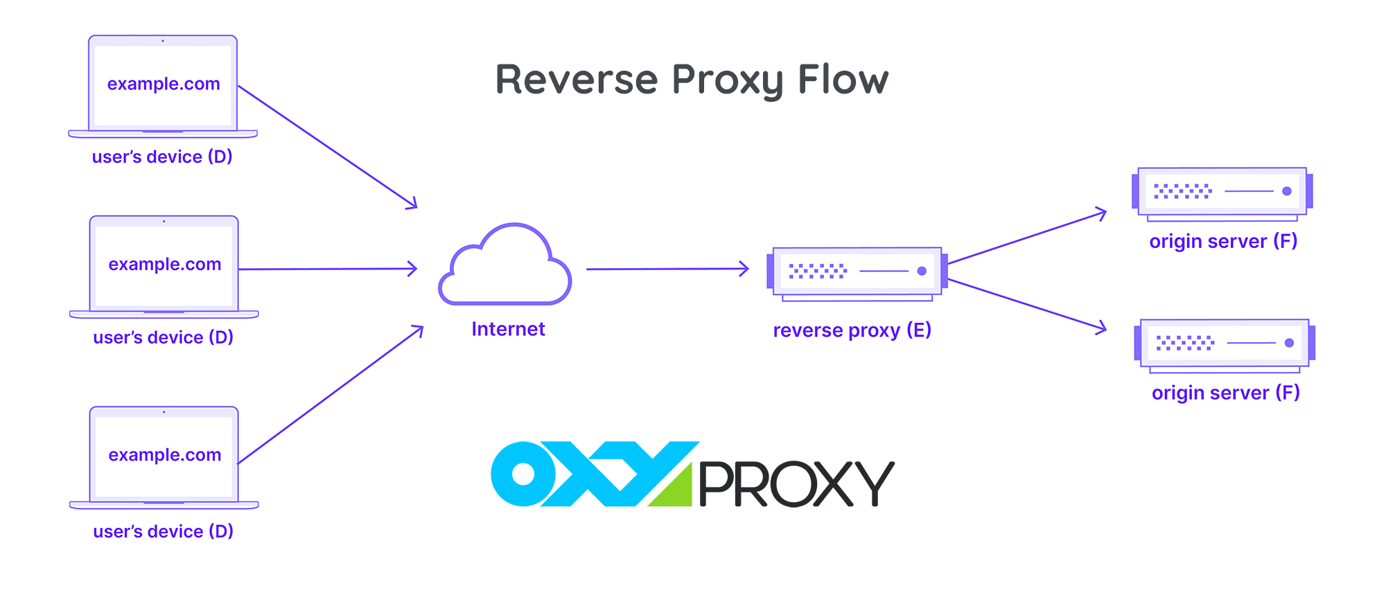 Reverse Proxy Flow